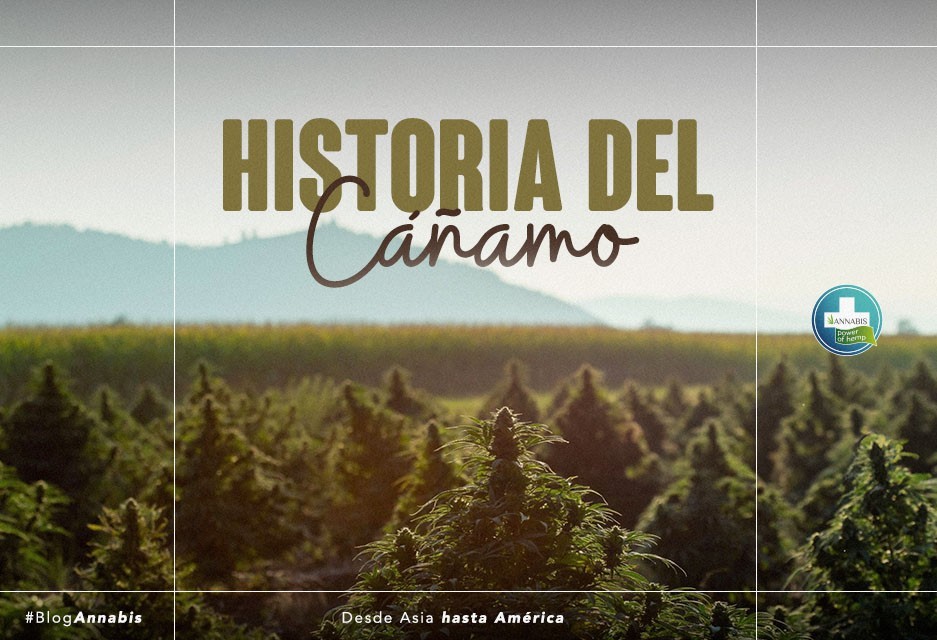 Historia del Cáñamo